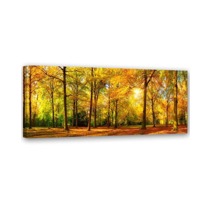 Leinwandbild - Goldener Wald 1-panel | Feeby