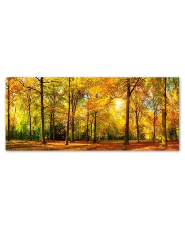 Leinwandbild - Goldener Wald 1-panel | Feeby