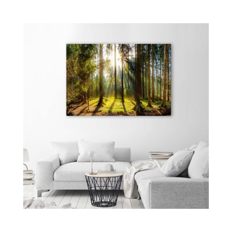 Leinwandbild - Strahlen in einem sonnigen Wald | Feeby