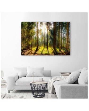 Leinwandbild - Strahlen in einem sonnigen Wald | Feeby