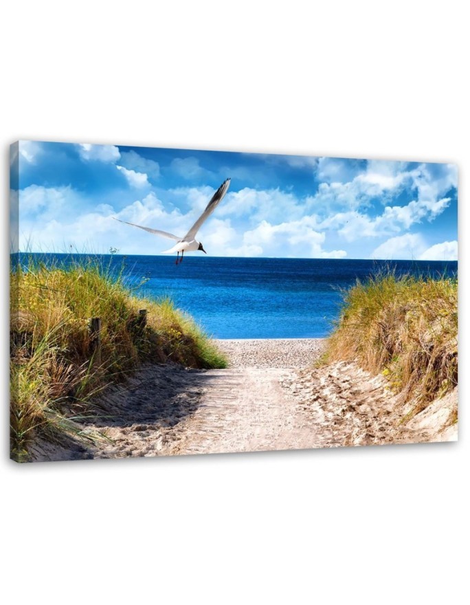 Modernes Wandbild - Weg zum Strand und eine Möwe | Feeby