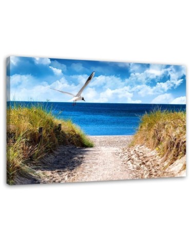 Modernes Wandbild - Weg zum Strand und eine Möwe | Feeby