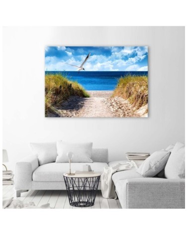 Modernes Wandbild - Weg zum Strand und eine Möwe | Feeby