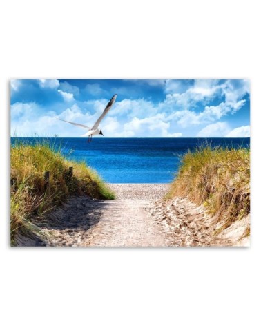Modernes Wandbild - Weg zum Strand und eine Möwe | Feeby