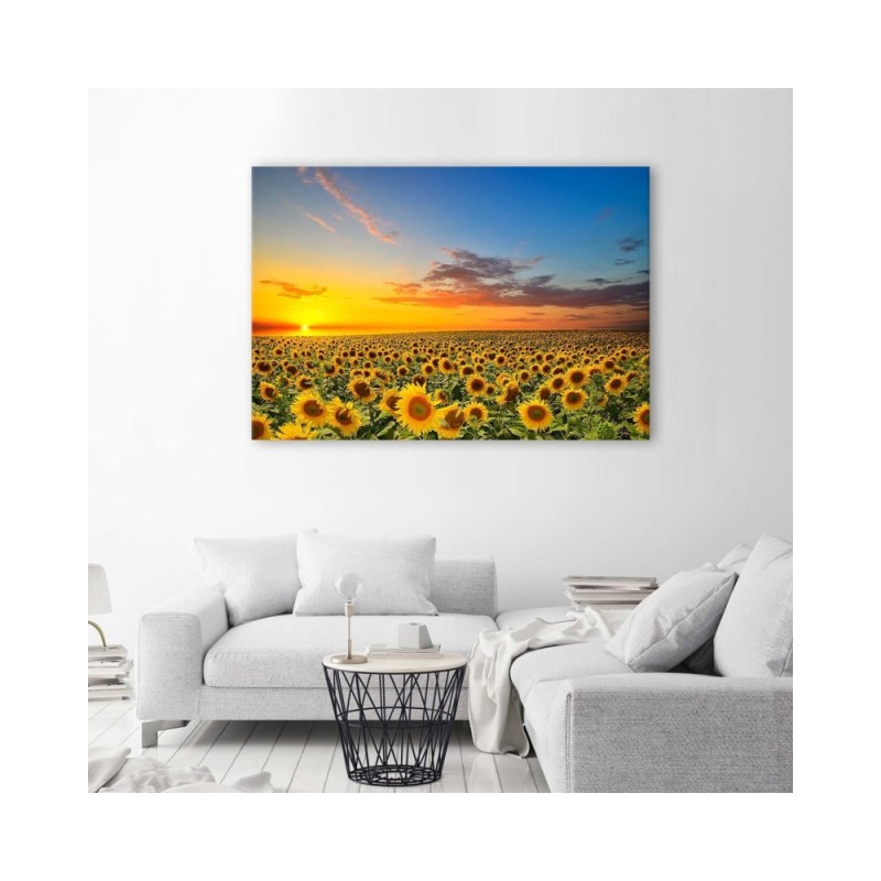 Leinwandbild - Eine Sonnenblumenwiese bei Sonnenuntergang | Feeby