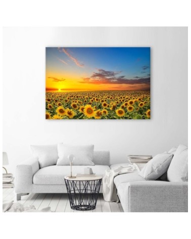 Leinwandbild - Eine Sonnenblumenwiese bei Sonnenuntergang | Feeby