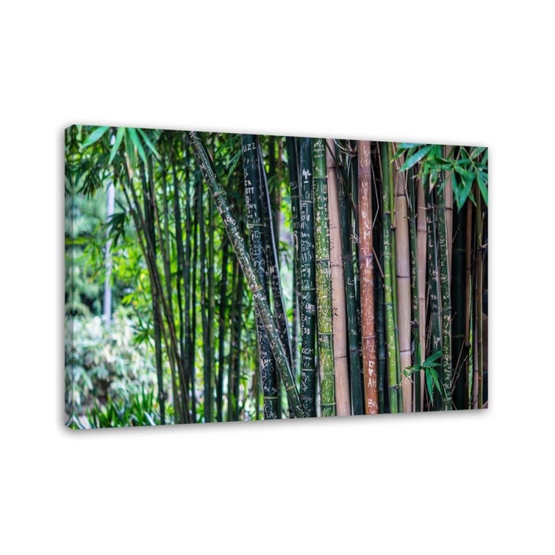 Modernes Wandbild - Bambushalme | Feeby