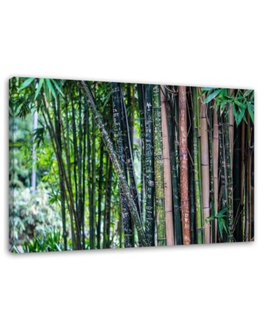 Modernes Wandbild - Bambushalme | Feeby