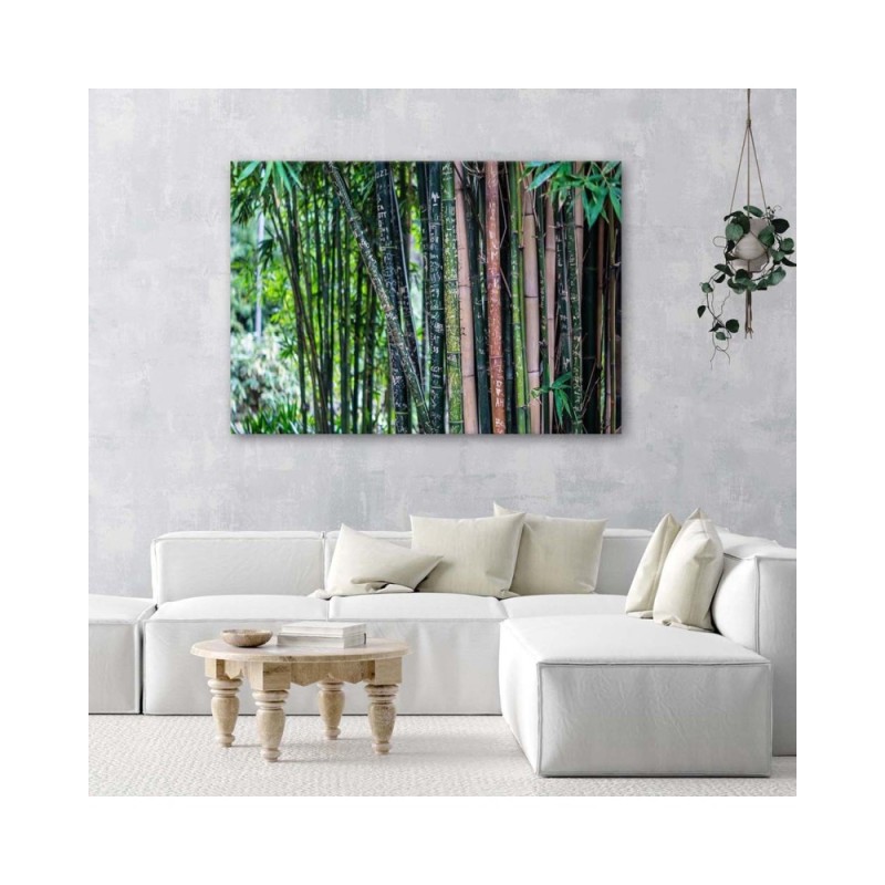 Modernes Wandbild - Bambushalme | Feeby