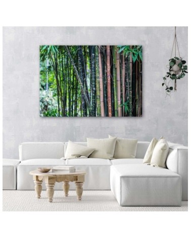 Modernes Wandbild - Bambushalme | Feeby