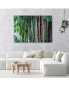 Las bambusowy natura - Obraz na płótnie canvas | FEEBY
