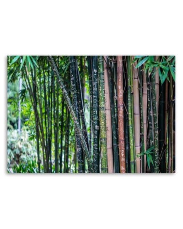 Modernes Wandbild - Bambushalme | Feeby