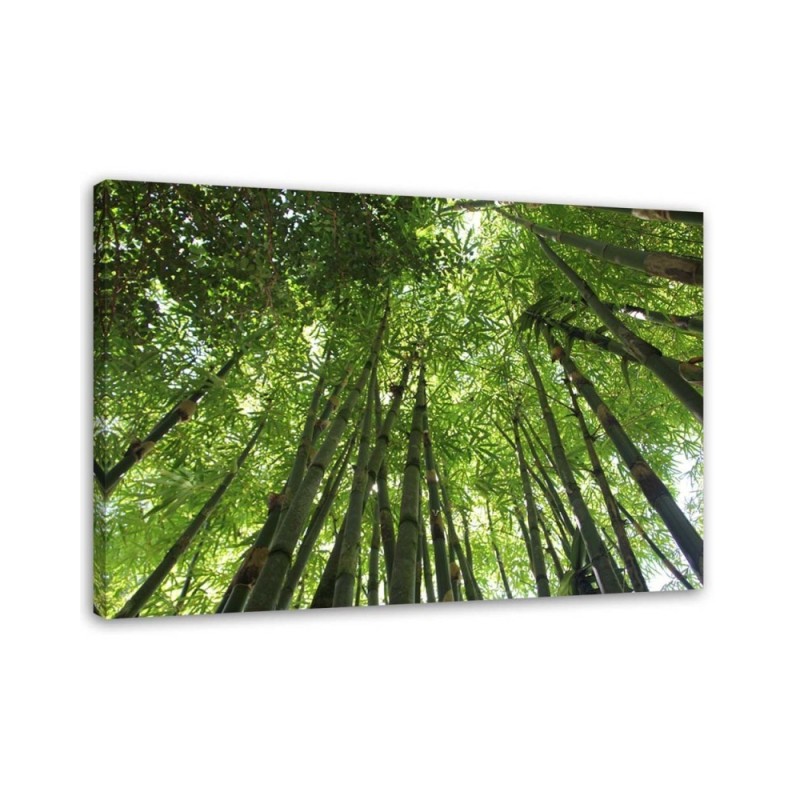 Bamboo forest - Modern Canvas painting for bedroom | FEEBY