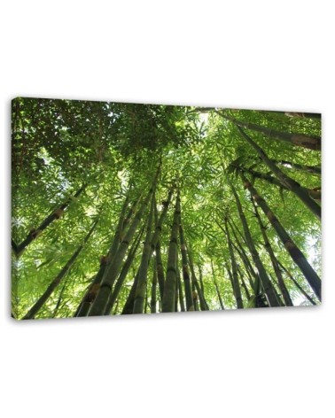 Bamboo forest - Modern Canvas painting for bedroom | FEEBY