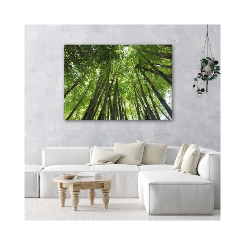 Bild auf Leinwand - Bambuswald | Feeby