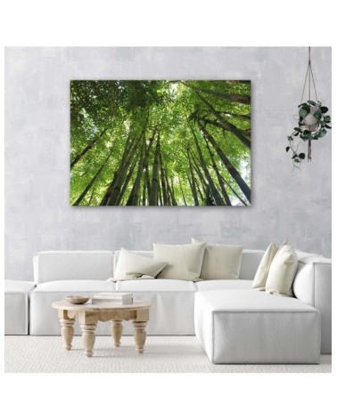Bild auf Leinwand - Bambuswald | Feeby