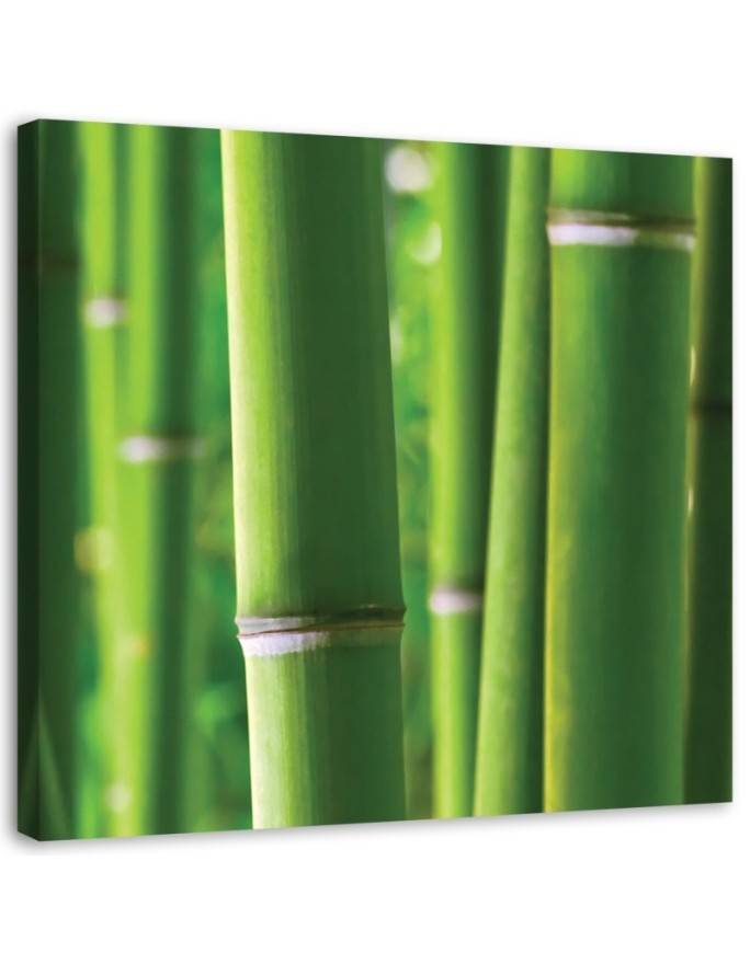 Bamboo - Modern painting for bedroom | FEEBY