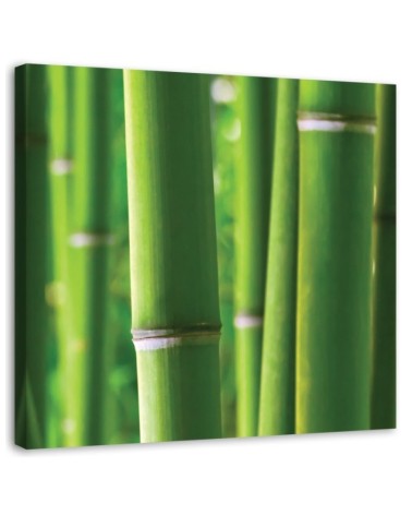 Leinwanddruck - Bambus Details | Feeby