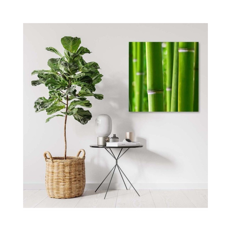 Leinwanddruck - Bambus Details | Feeby