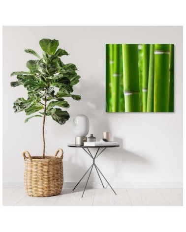 Leinwanddruck - Bambus Details | Feeby