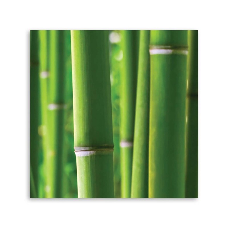 Leinwanddruck - Bambus Details | Feeby