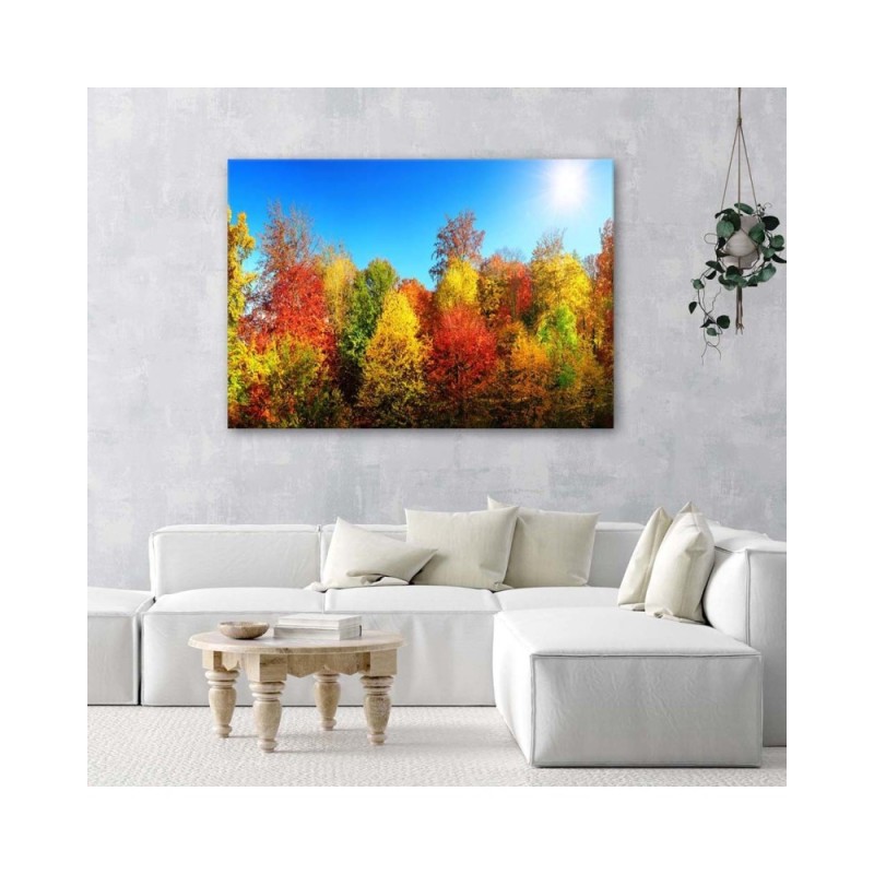 Leinwandbild - Herbstbäume | Feeby