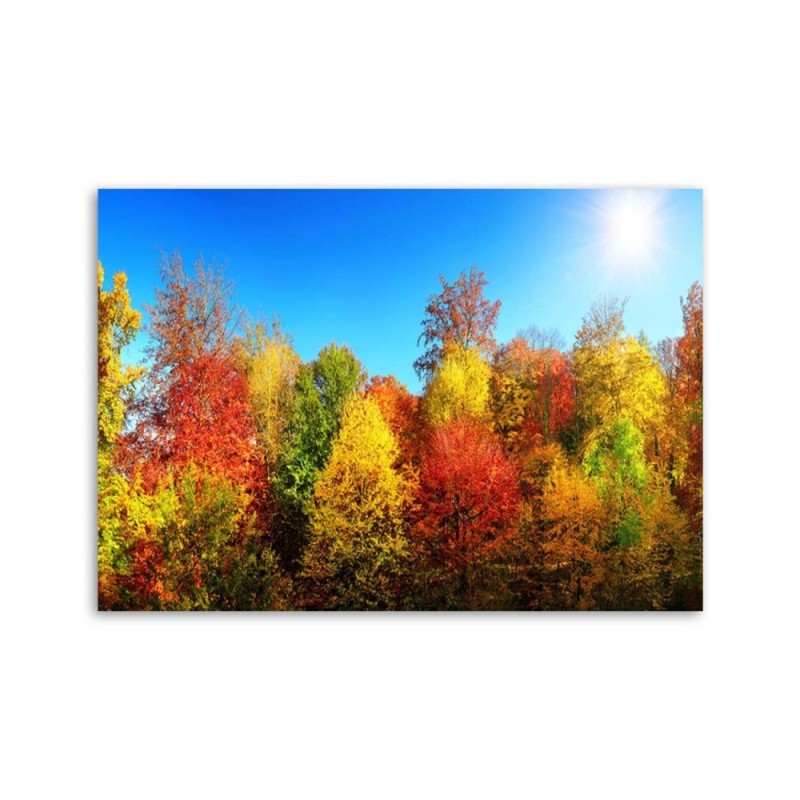 Leinwandbild - Herbstbäume | Feeby