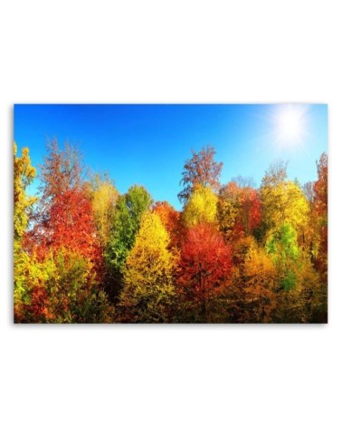 Leinwandbild - Herbstbäume | Feeby