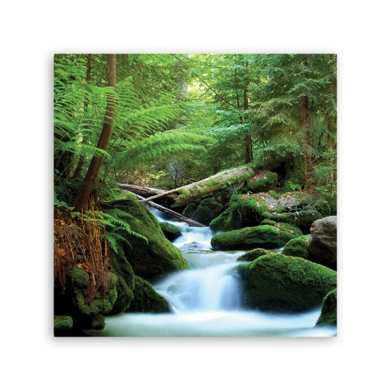 Dekoratives Leinwandbild - Landschaften - Grün | Feeby