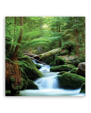 Dekoratives Leinwandbild - Landschaften - Grün | Feeby