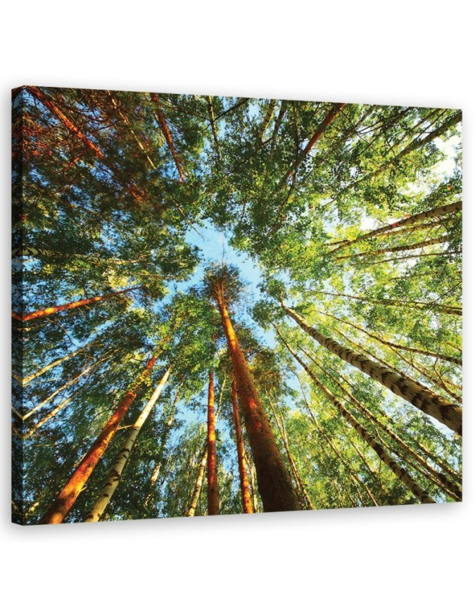 Modernes Wandbild - Landschaften - Grün | Feeby