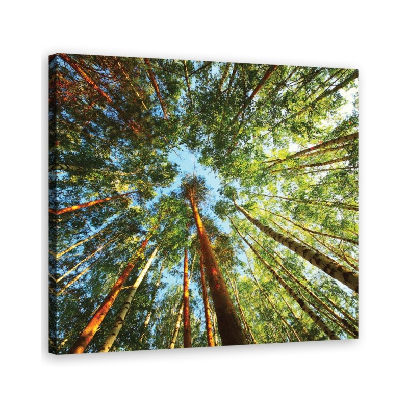 Modernes Wandbild - Landschaften - Grün | Feeby