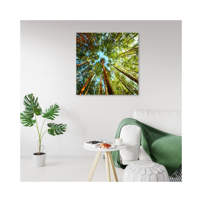 Modernes Wandbild - Landschaften - Grün | Feeby