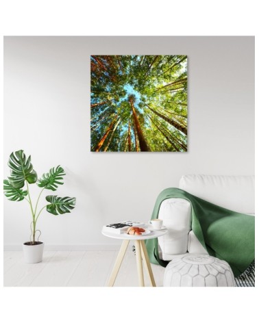 Modernes Wandbild - Landschaften - Grün | Feeby