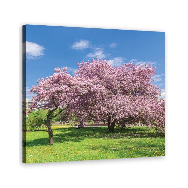 Leinwandbild - Landschaften - Rosa | Feeby