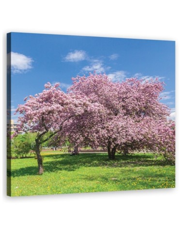 Canvas print modern - Landscape pink trees | FEEBY