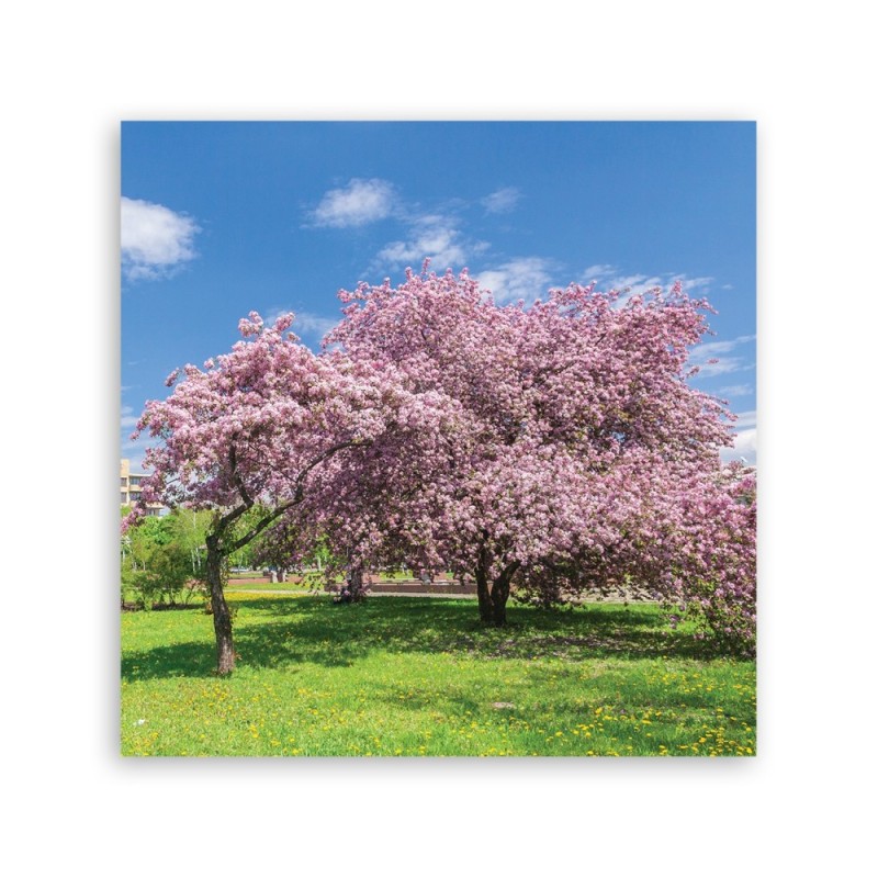 Leinwandbild - Landschaften - Rosa | Feeby