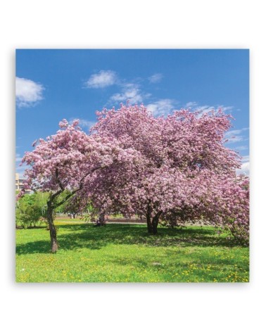 Leinwandbild - Landschaften - Rosa | Feeby