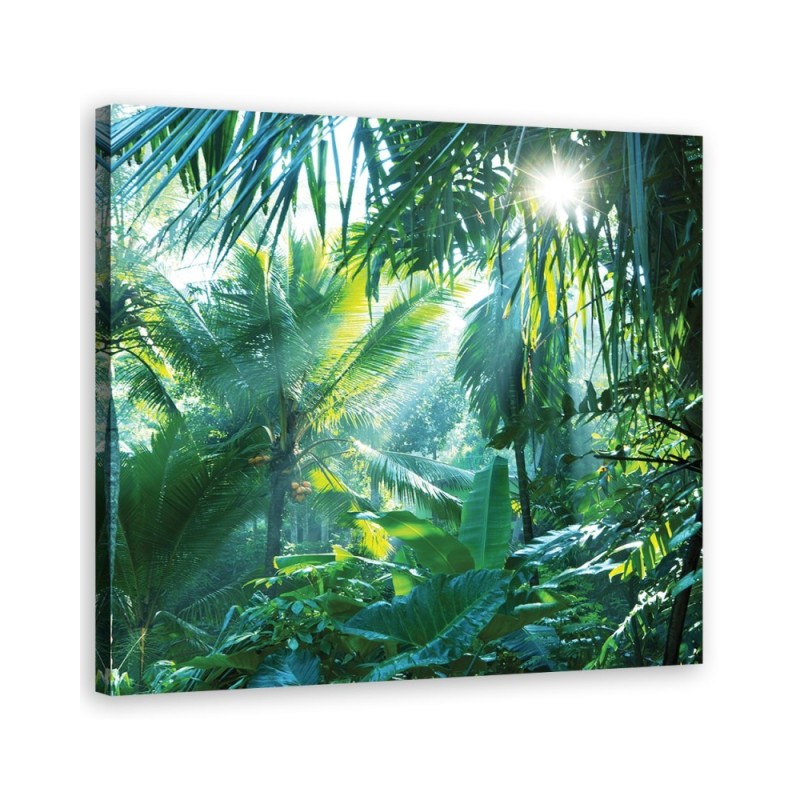 Bild auf Leinwand - Landschaften - Grün | Feeby