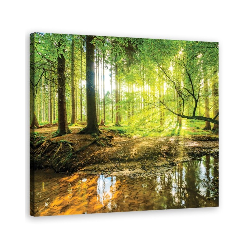 Leinwandbild - Forest Lake Natura | Feeby