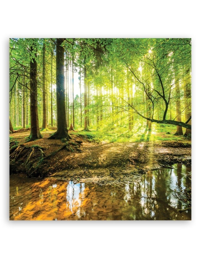 Nowoczesny obraz do sypialni - Las Jezioro Natura | FEEBY