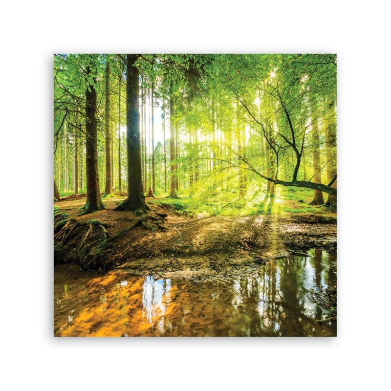 Leinwandbild - Forest Lake Natura | Feeby