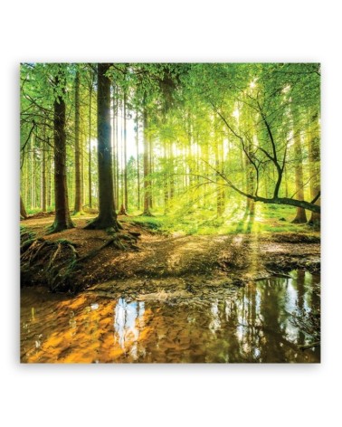 Leinwandbild - Forest Lake Natura | Feeby