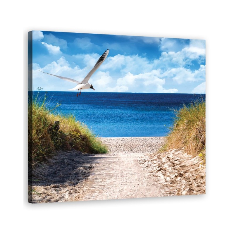 Leinwandbild modern - Weg zum Strand und Möwe | Feeby