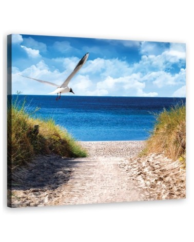 Leinwandbild modern - Weg zum Strand und Möwe | Feeby