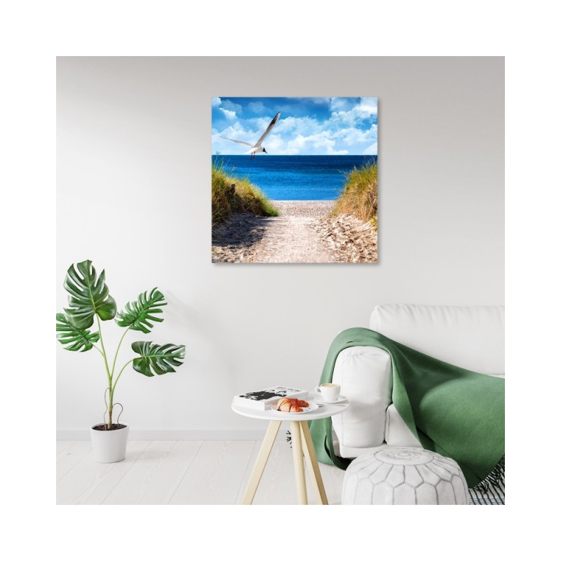 Leinwandbild modern - Weg zum Strand und Möwe | Feeby