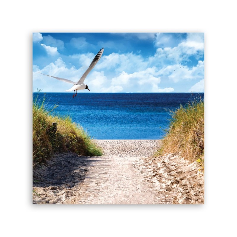 Leinwandbild modern - Weg zum Strand und Möwe | Feeby