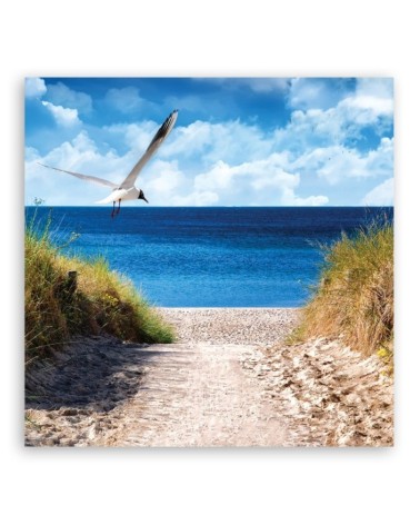 Leinwandbild modern - Weg zum Strand und Möwe | Feeby