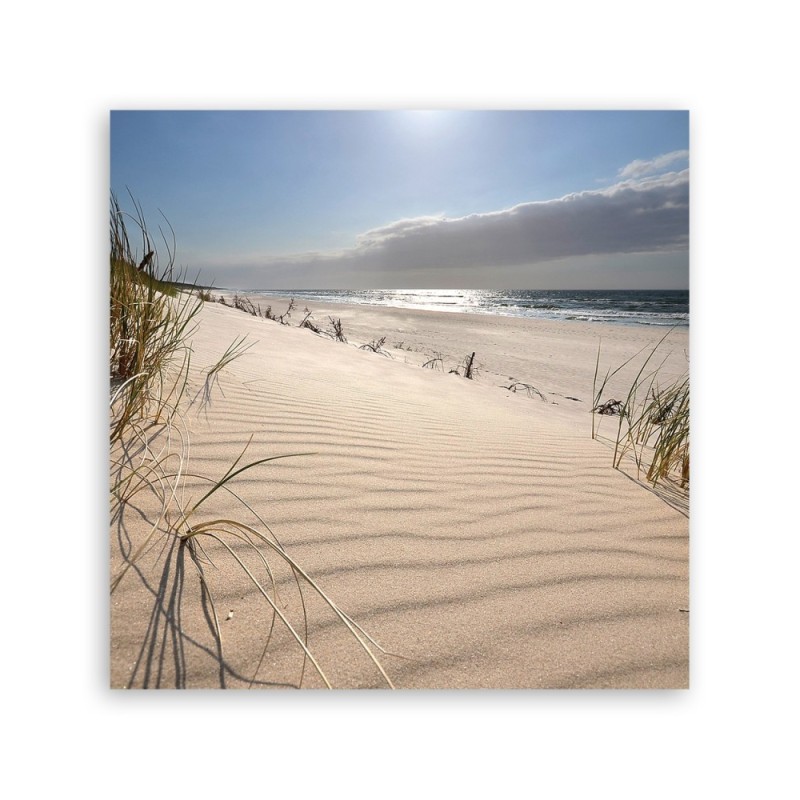 Leinwandbild - Dünen am Strand | Feeby