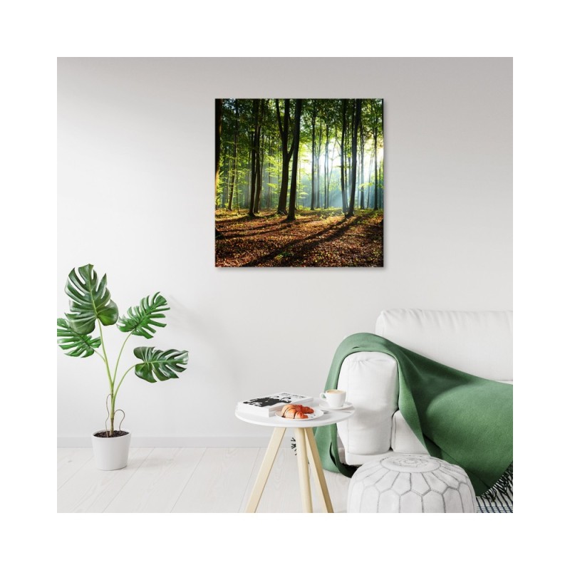 Leinwandbild - Morgen im grünen Wald | Feeby